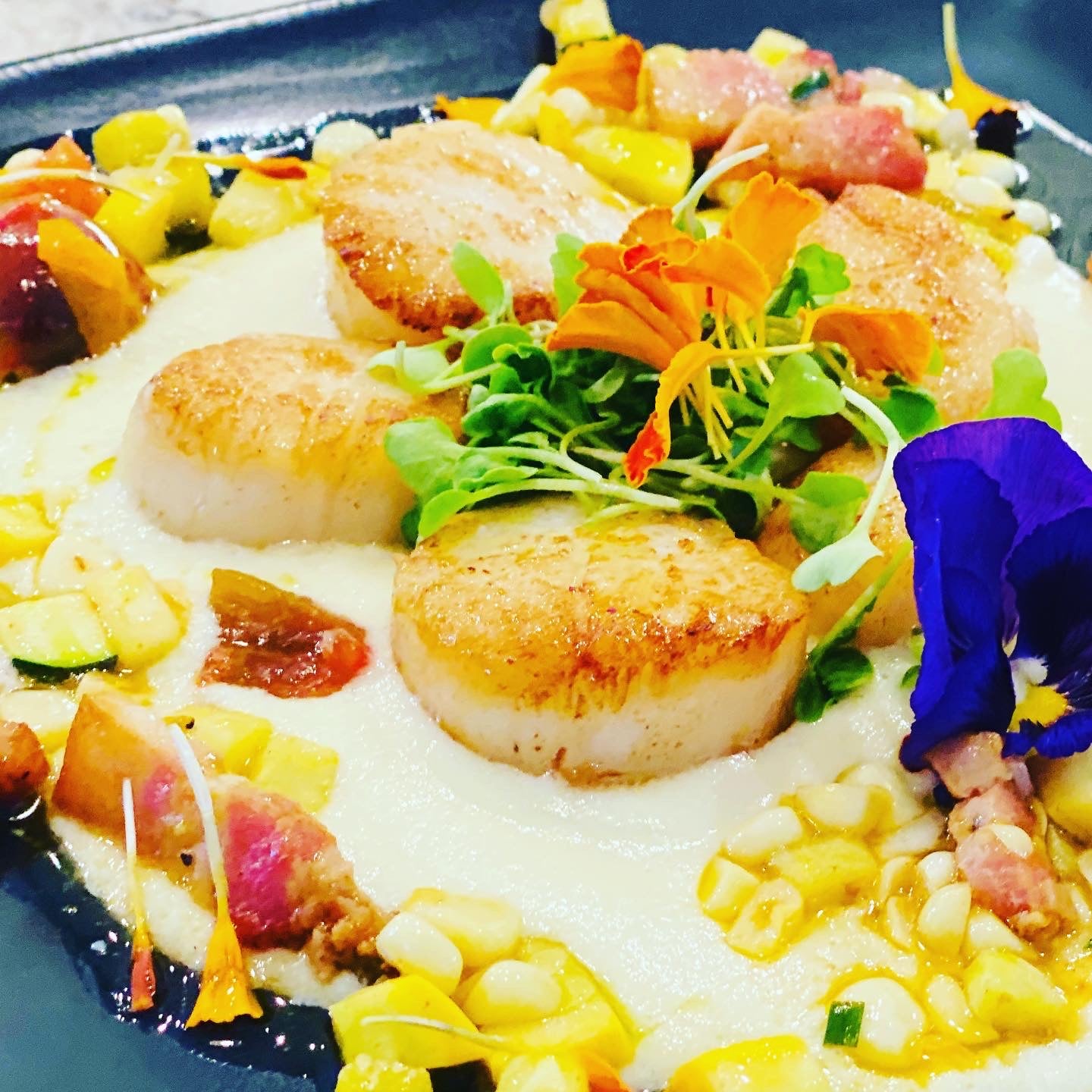 Pan Seared Scallops on Sweet Corn Puree with Succotash and Basil oil