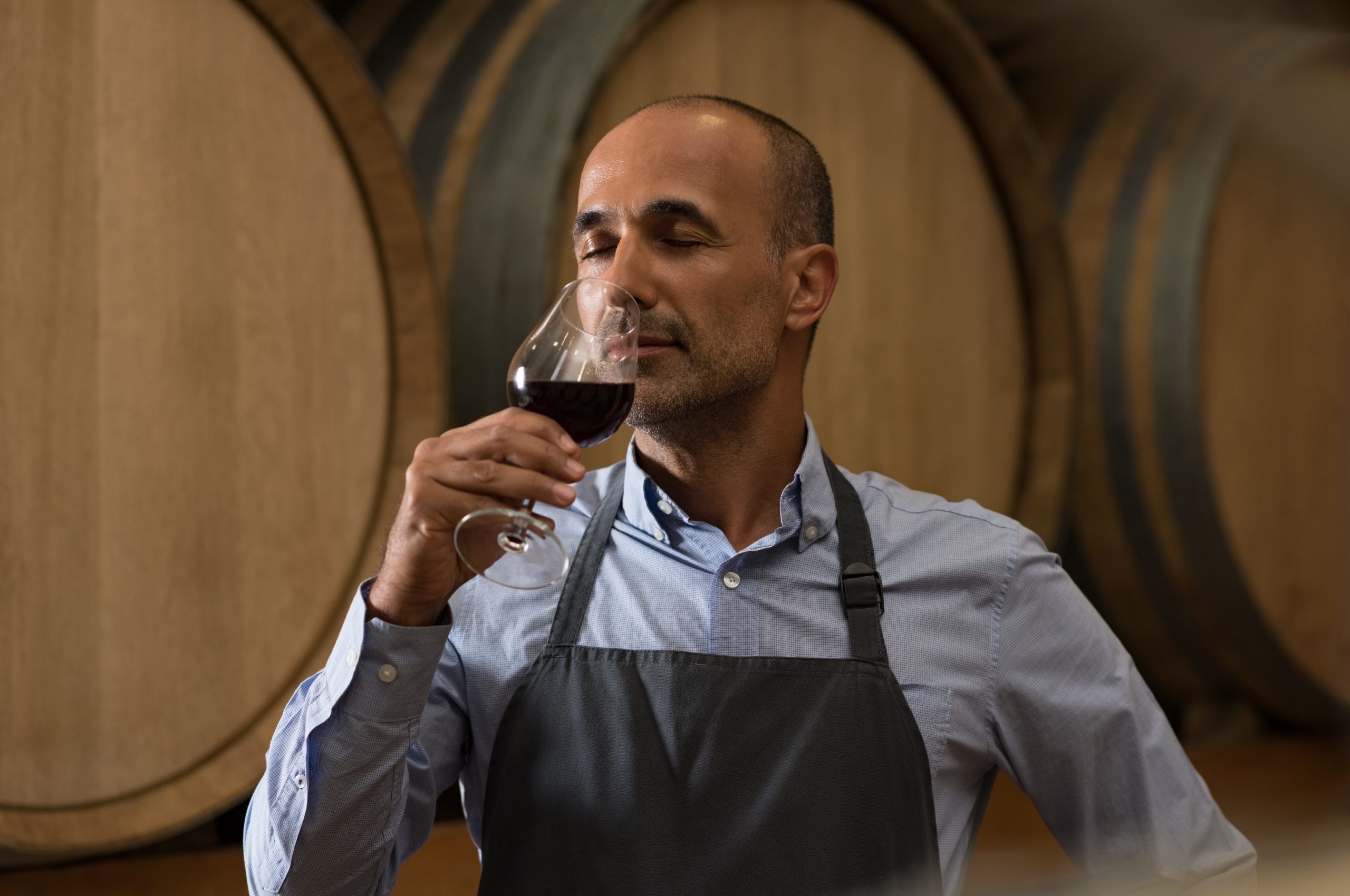 Winemaker smelling a glass of red wine in a traditional cellar surrounded by wooden barrels. Professional mature man smelling red wine in glass with closed eyes in a wine cellar. Sommelier inspecting wine.